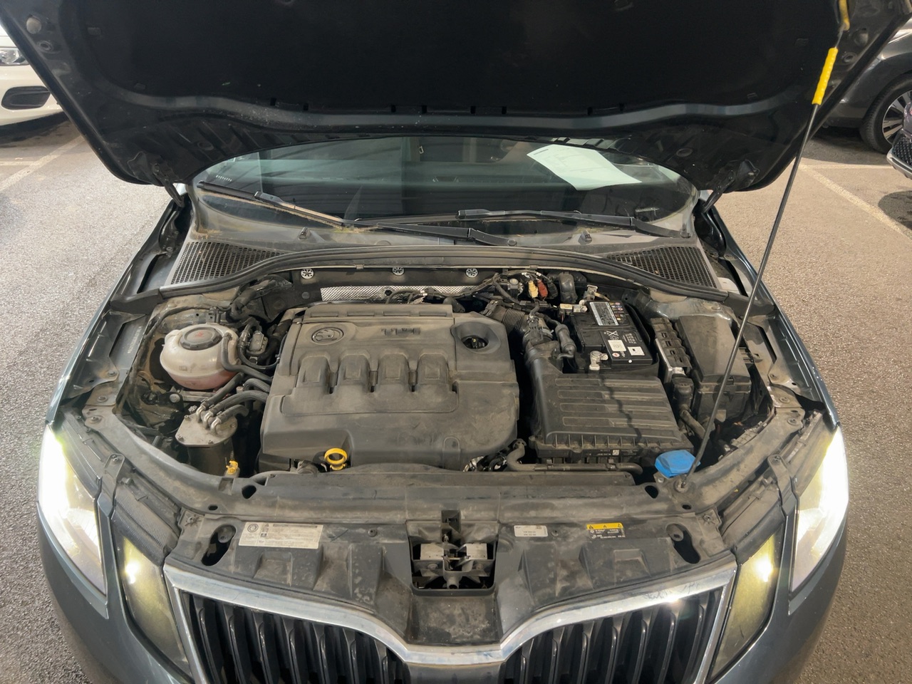 Skoda Octavia Business