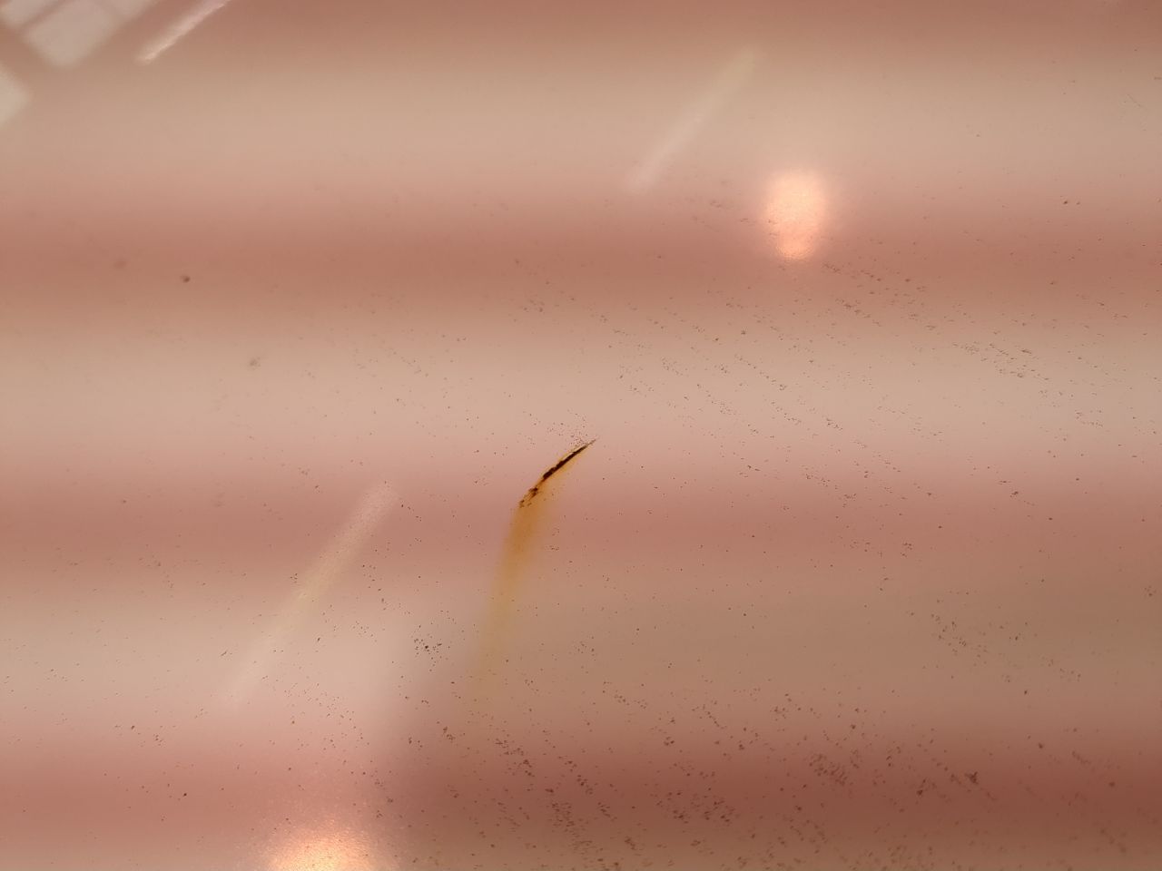 Renault Kangoo Express