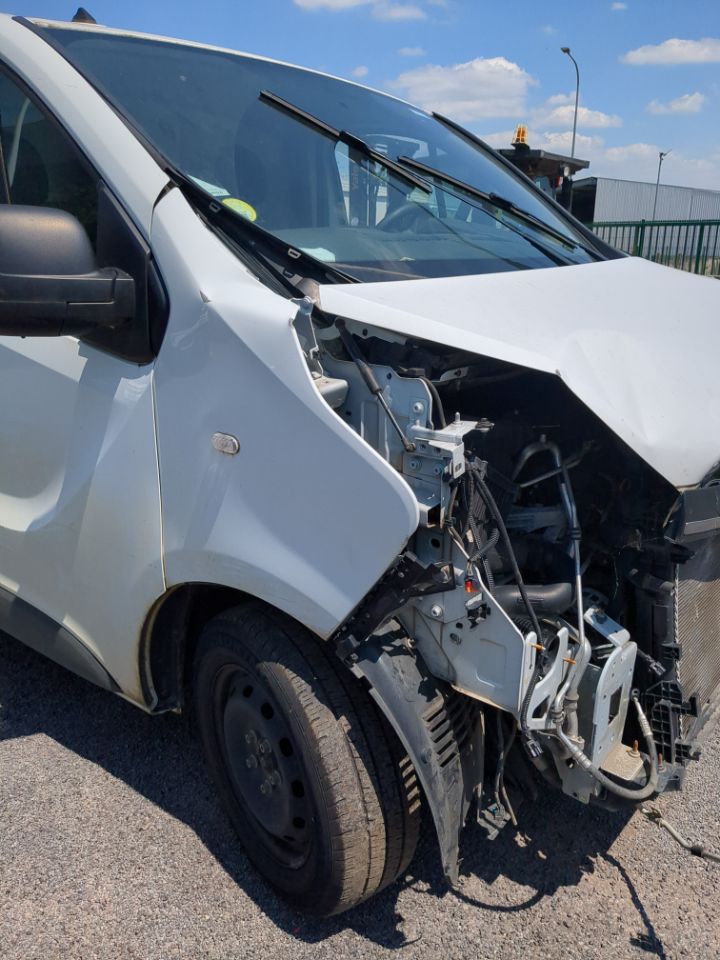 Renault Trafic FGN L2H1